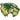 Utah Valley Wolverines